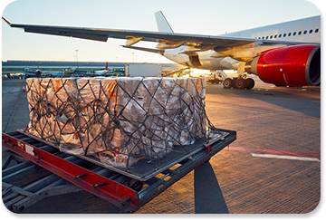Sea Freight