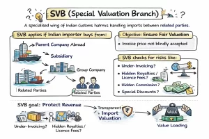 Understanding SVB Consultancy and How It Simplifies Cargo Shipping